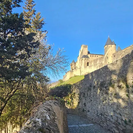 Cite Medievale- Le Remp'art - Confort - Acces Direct Pietons - Parking Gratuit דירה קרקסון